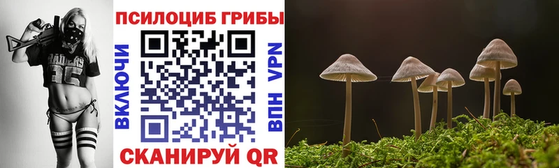 OMG как зайти  Хилок  Галлюциногенные грибы Cubensis  купить закладку 